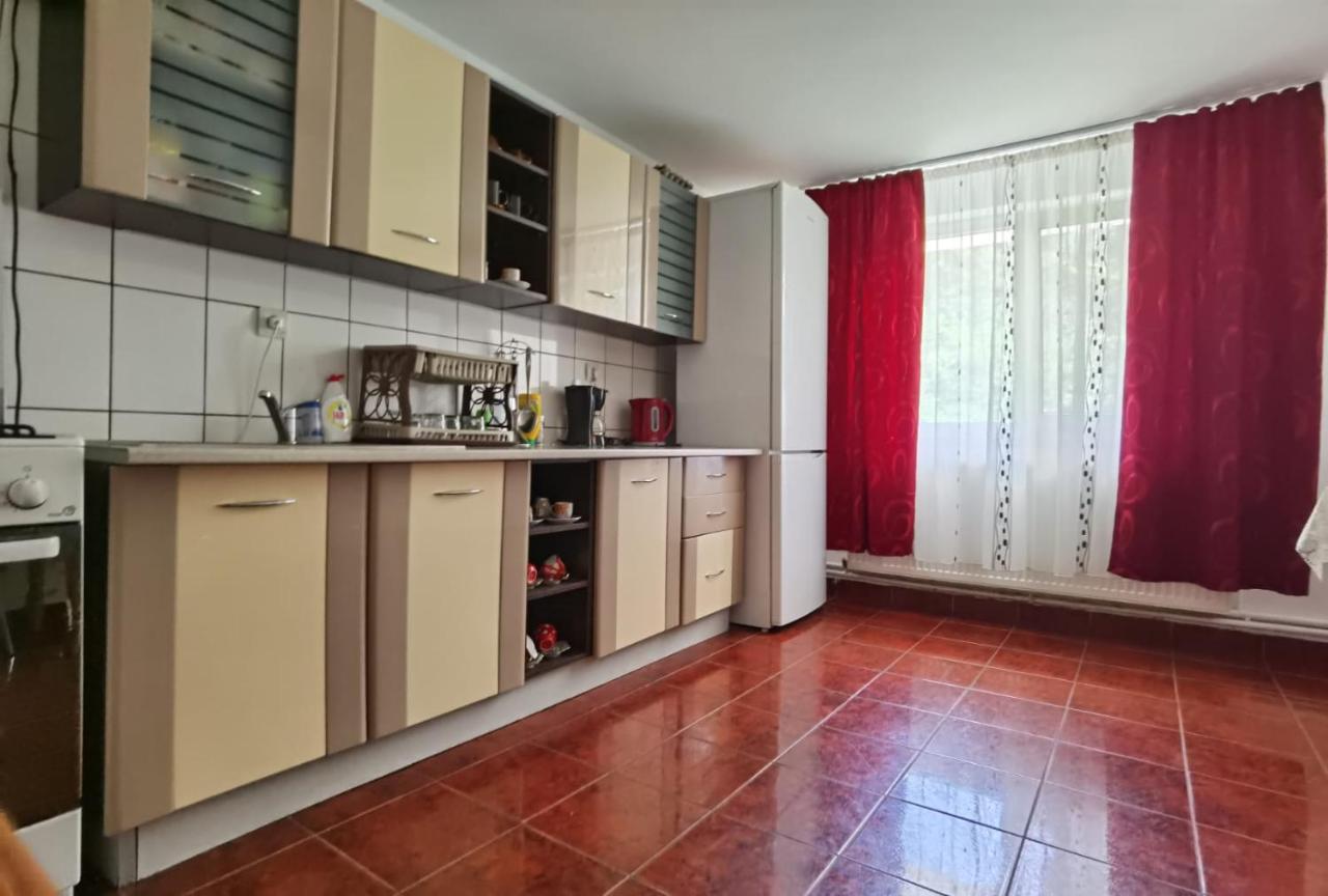 Casa Dobrin Hotel Arefu Kültér fotó