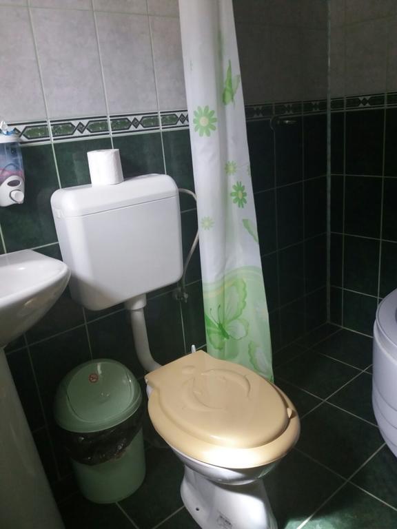 Casa Dobrin Hotel Arefu Kültér fotó
