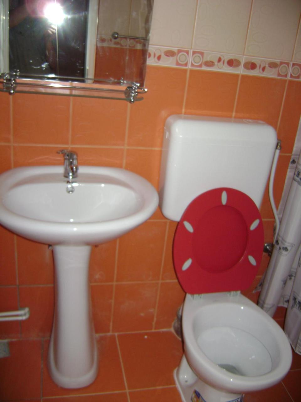 Casa Dobrin Hotel Arefu Kültér fotó